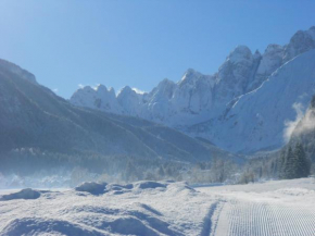 Отель Affittacamere Krajnc, Malborghetto Valbruna